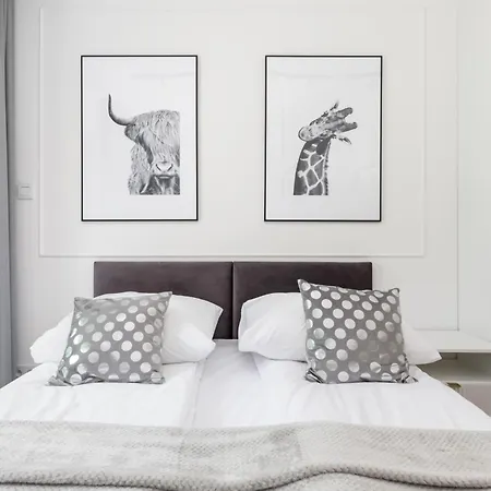 Shellter 117 H - By Jantar Daire